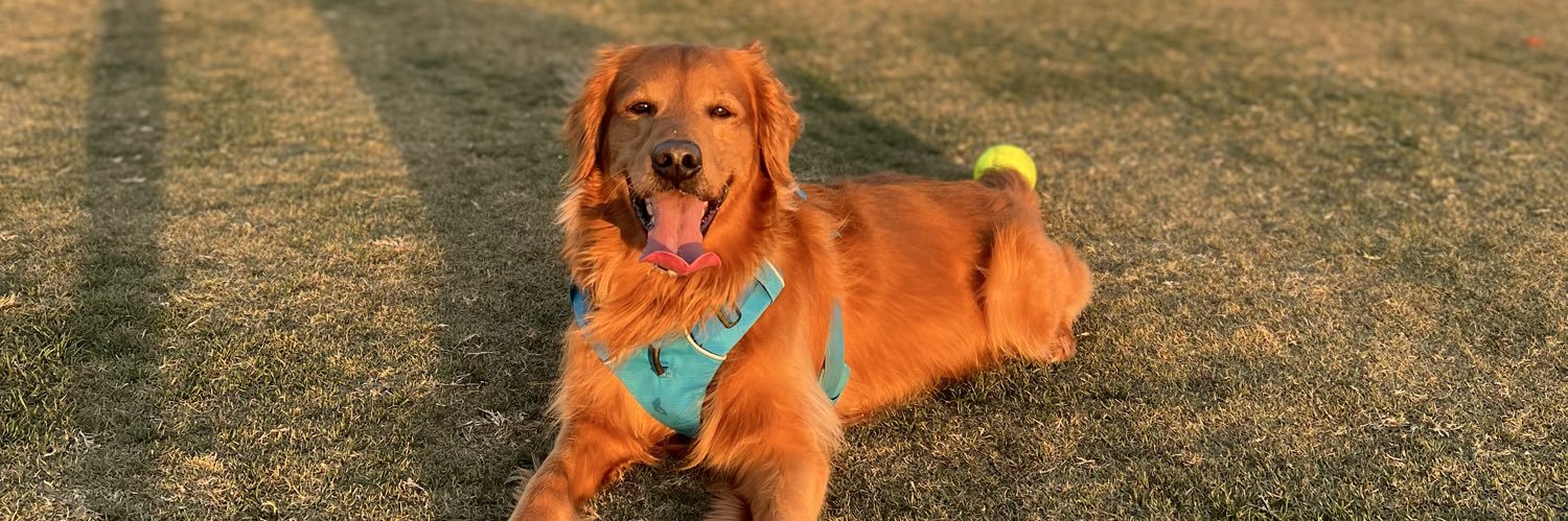 caseyscoggins_'s profile banner image