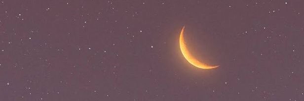 appleann_'s profile banner image