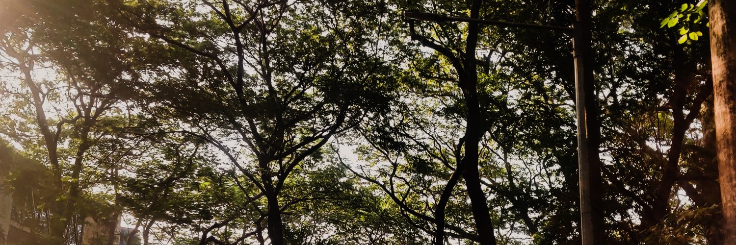 dawikowski's profile banner image