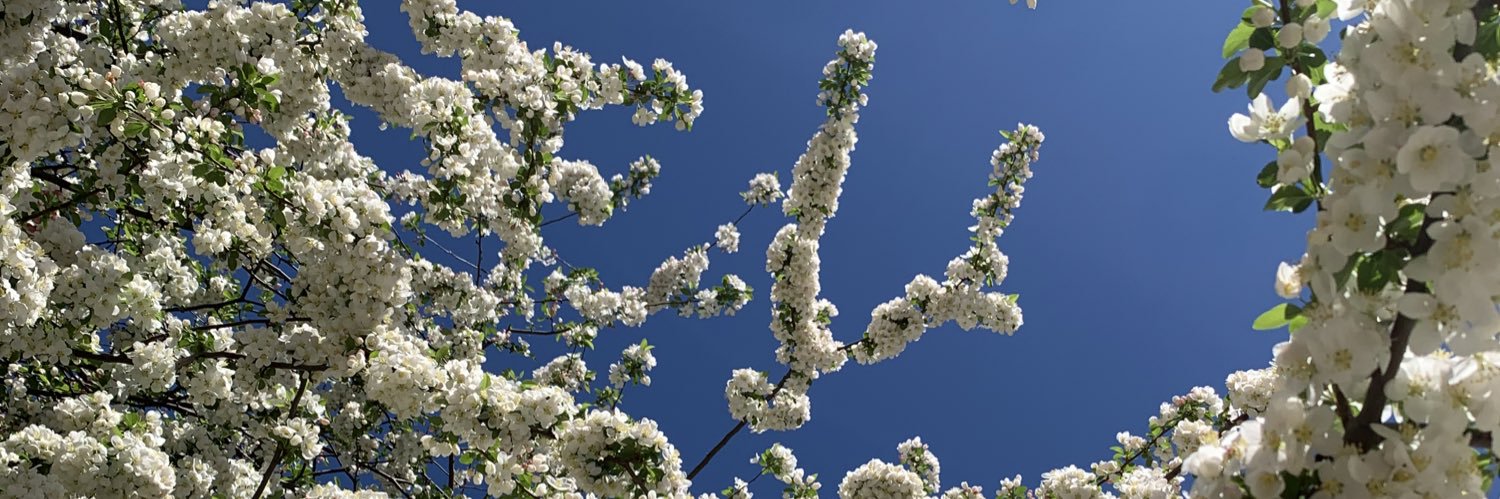 emmjreed's profile banner image