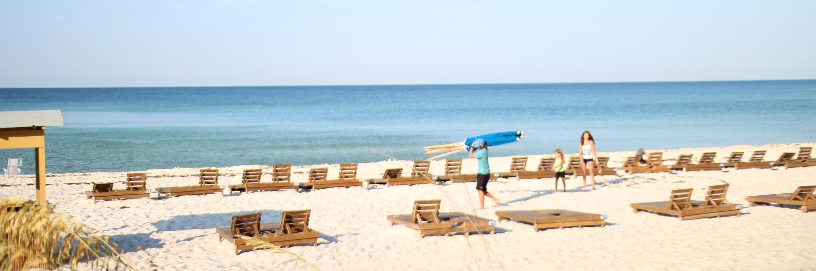 Shelby Patton banner