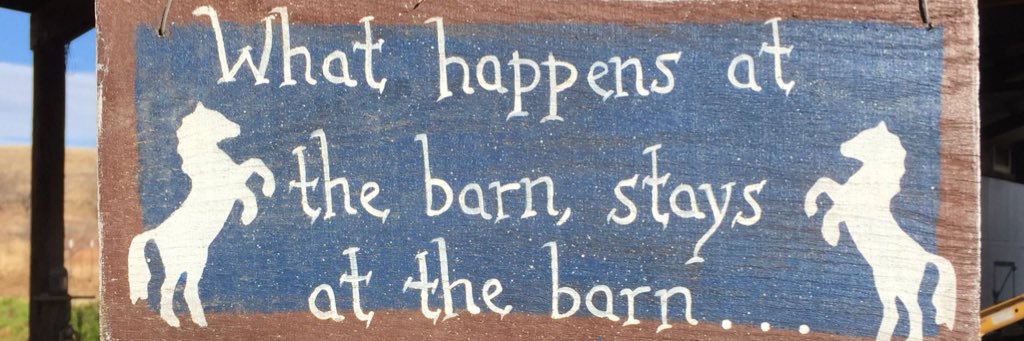 Scott banner
