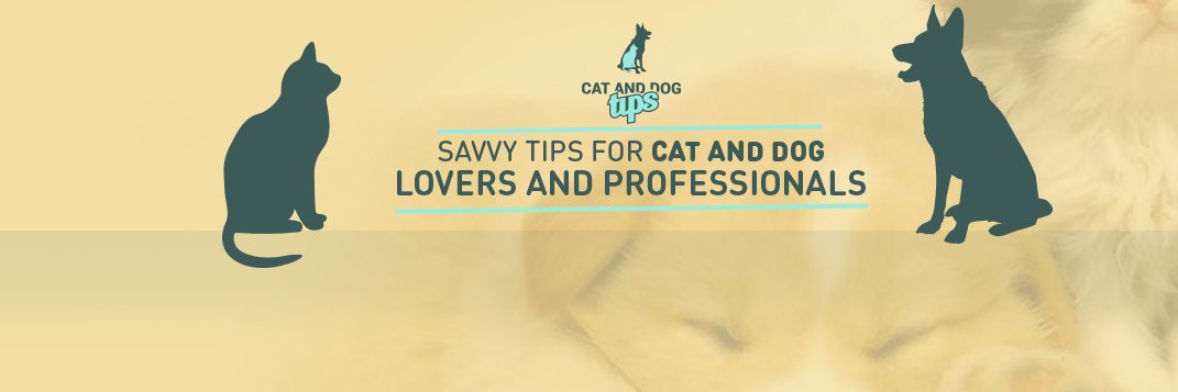 Cat And Dog Tips banner