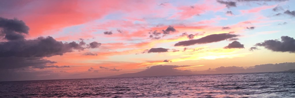 kat_malo's profile banner image