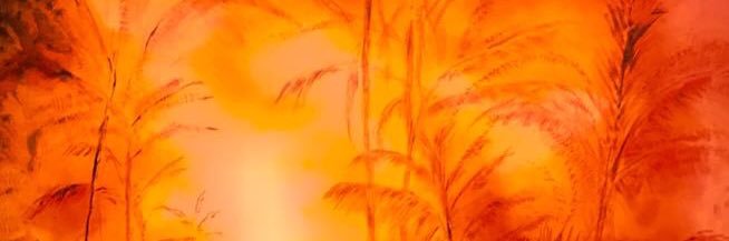 Sparrow1042's profile banner image