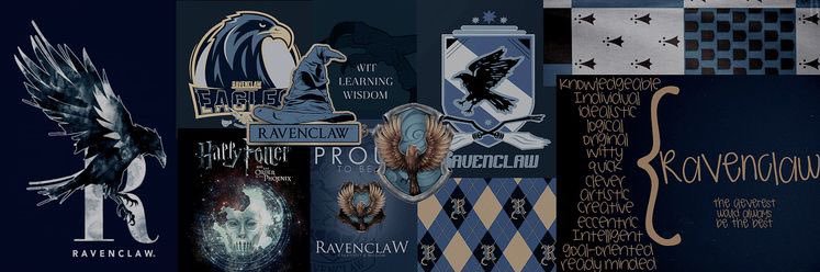 DaveBanjee's profile banner image