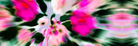 wonder_tui's profile banner image