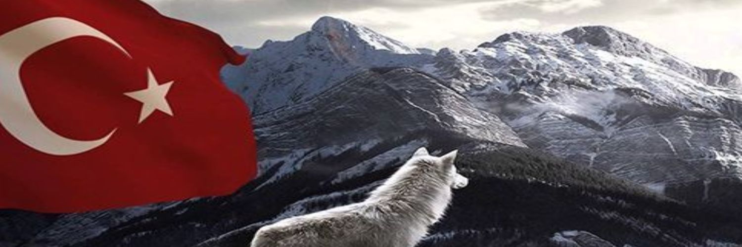 uumithocam's profile banner image