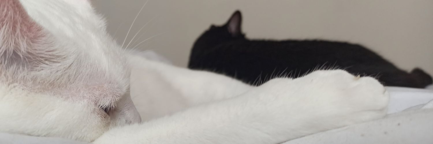 guiomarglez's profile banner image