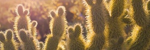 amanda metcalf banner