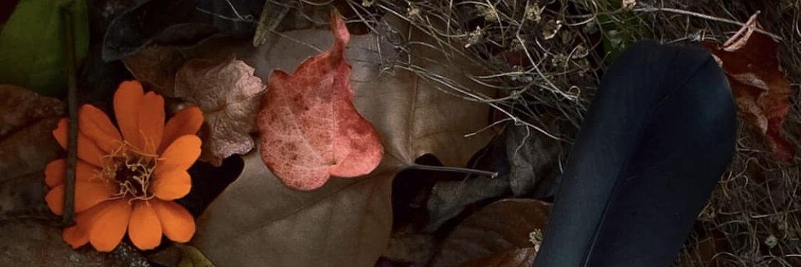 SkyblueIG's profile banner image