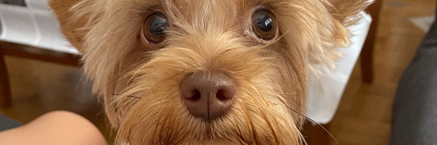 analealv__'s profile banner image