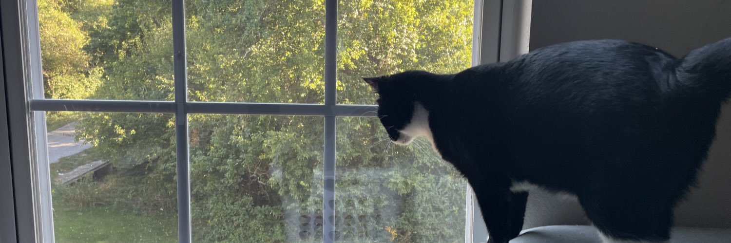 murph_this's profile banner image