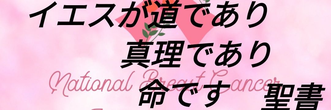 kassaigou's profile banner image