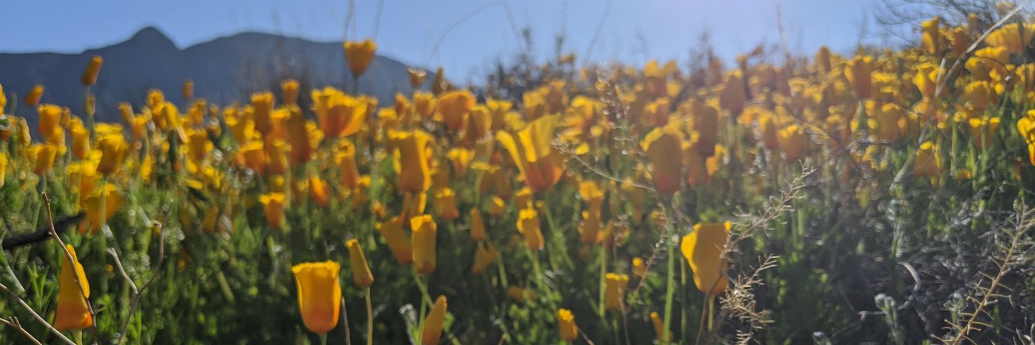 jennir's profile banner image