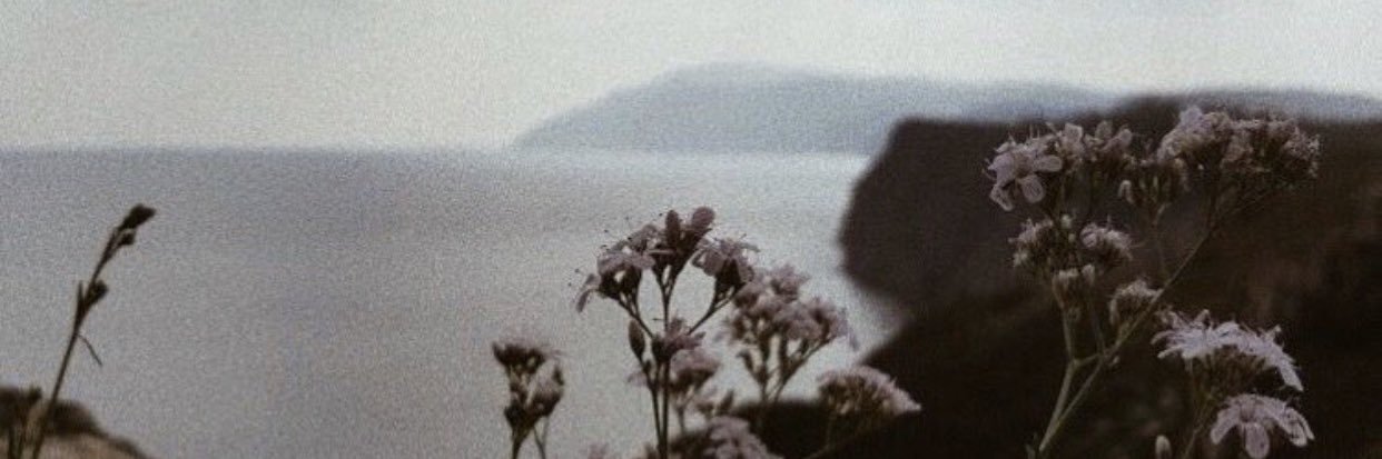 Kendall Watson banner