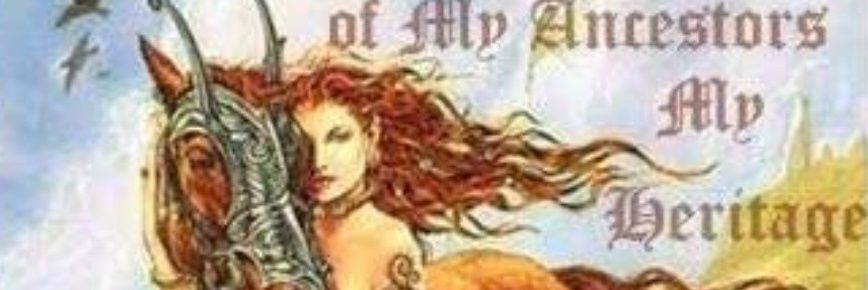 sinerua01's profile banner image