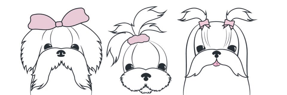 Işıl AY banner