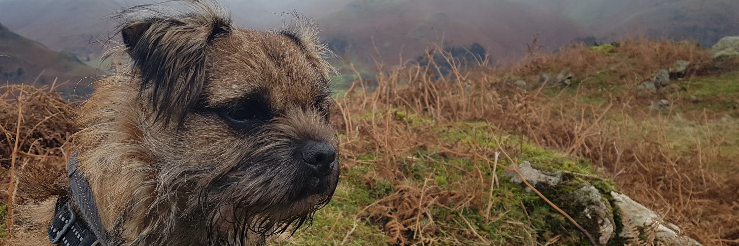 Gavin Hawkton banner