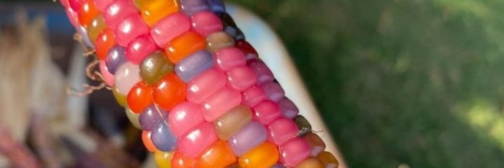 affrobanks's profile banner image