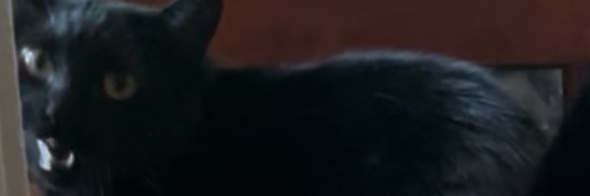 maaason's profile banner image