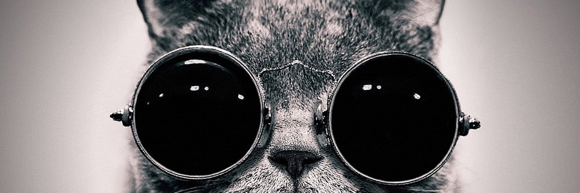 Immysimba's profile banner image