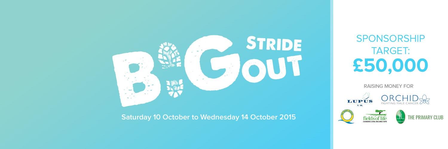 BigStrideOut's profile banner image