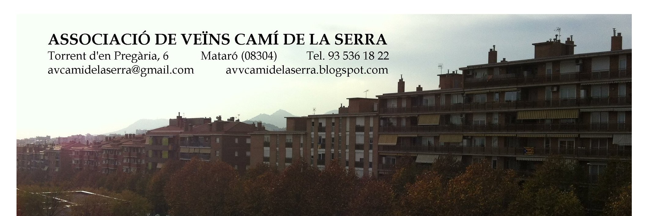 camidelaserra's profile banner image