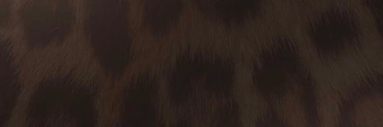 gisellevvela's profile banner image