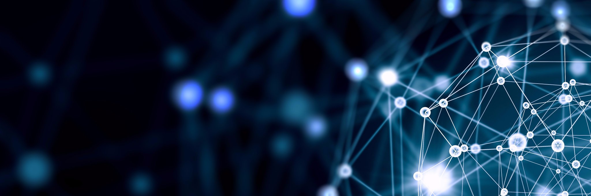 Ted Steinmann banner