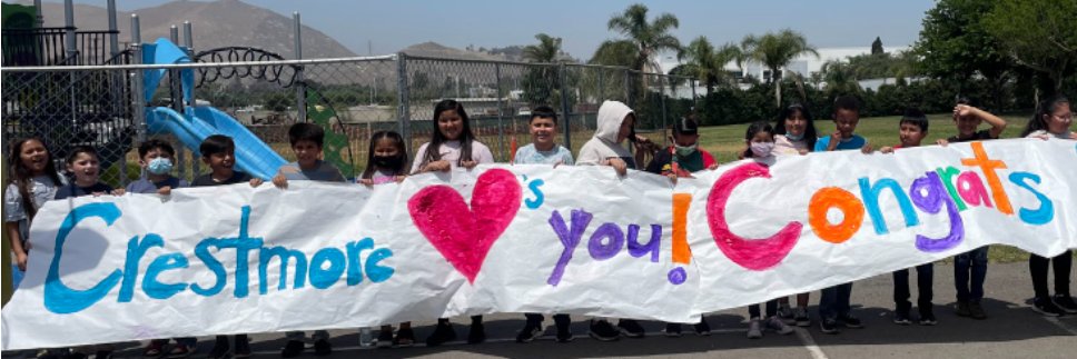 Yvette Mezzanatto banner