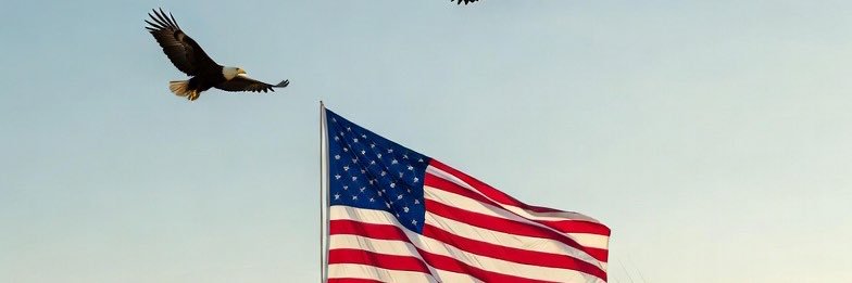 Greygo banner