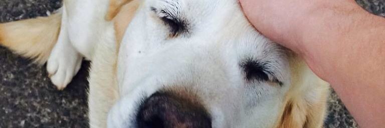 Beijodotheus's profile banner image