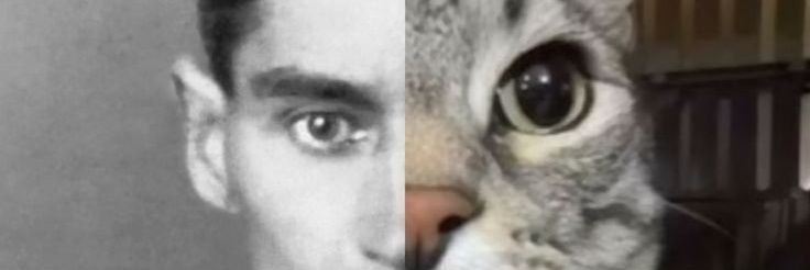 2345pedro78's profile banner image