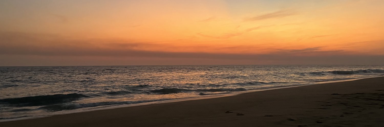 Nicoo_ss's profile banner image
