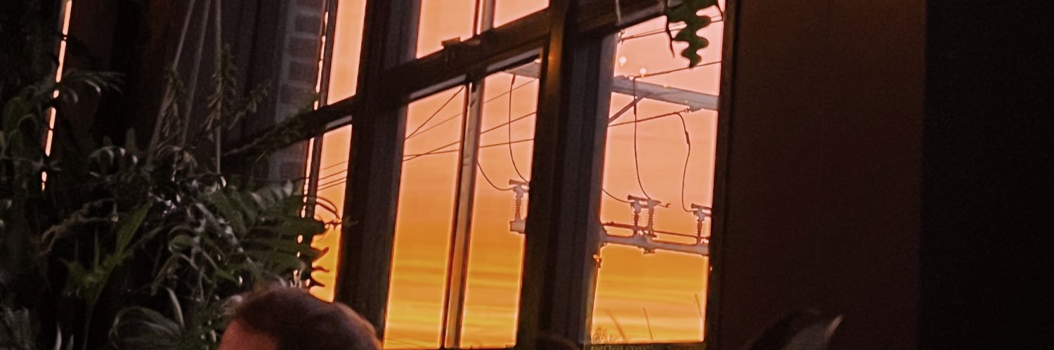 baylierosee's profile banner image