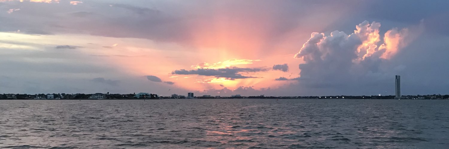 bnugier's profile banner image