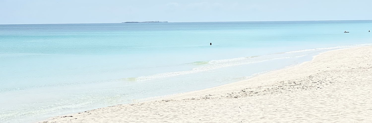ABestLifeEver's profile banner image