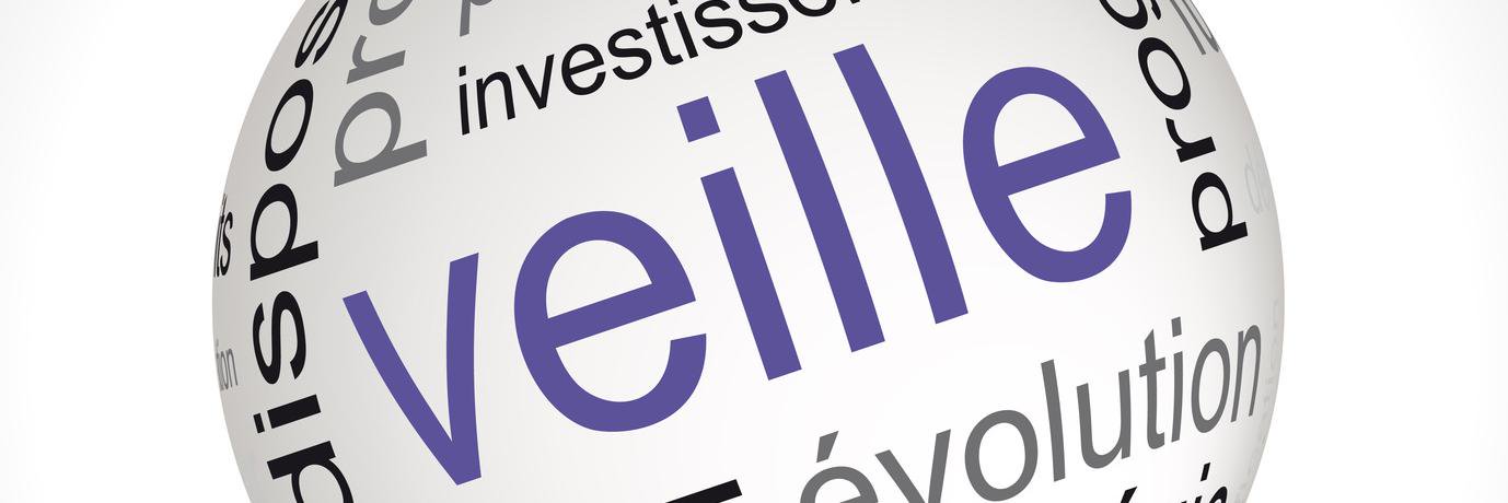 RisWorld's profile banner image