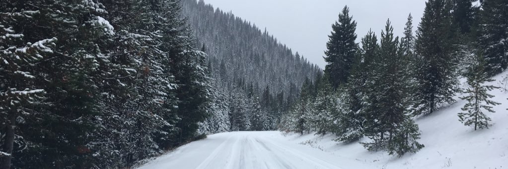audreysteele27's profile banner image