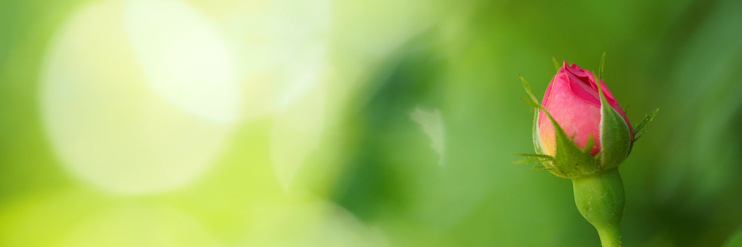 inhblitz's profile banner image