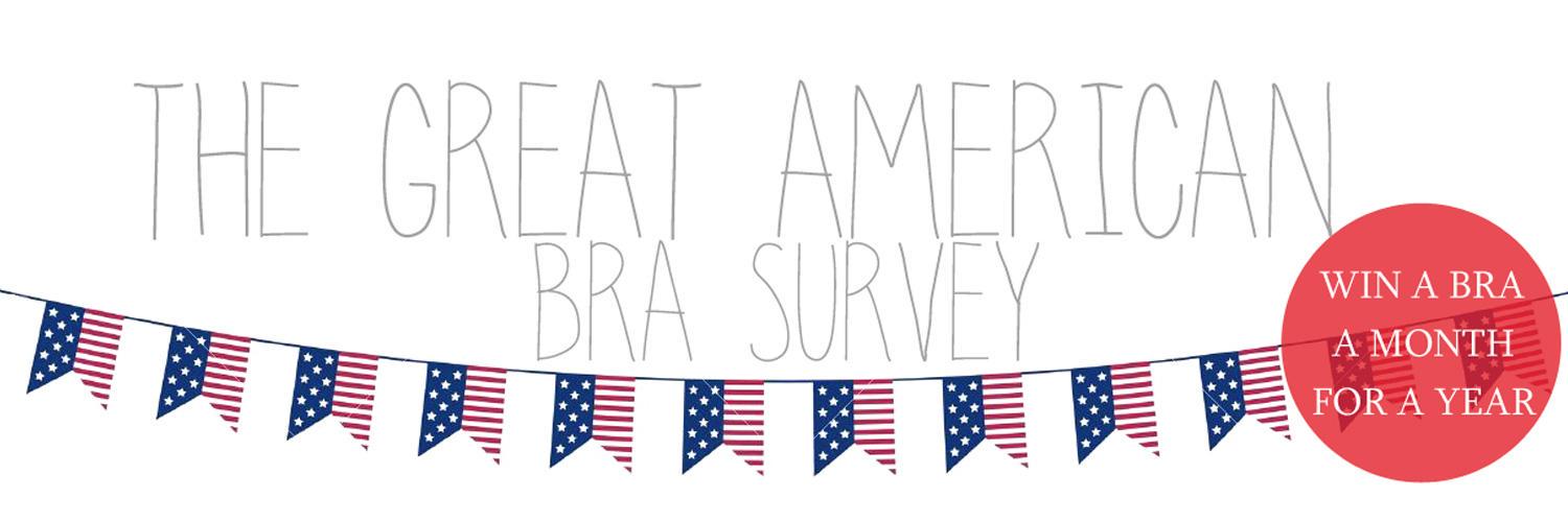 USABraSurvey's profile banner image