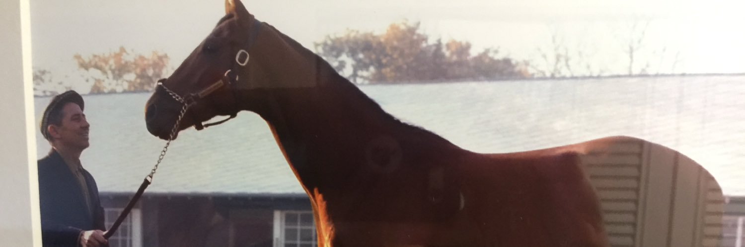 Robertplatte's profile banner image