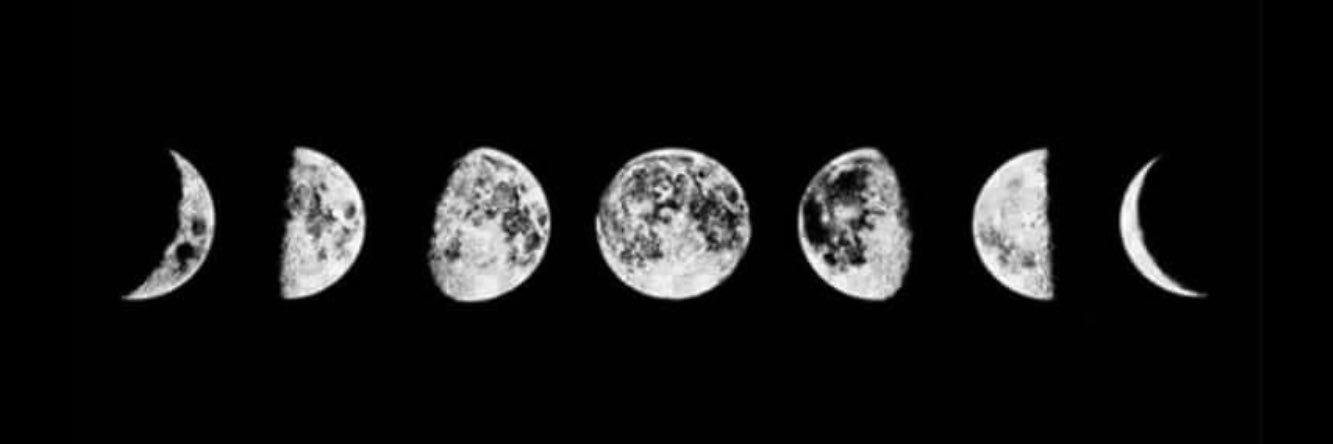 xtyann85's profile banner image
