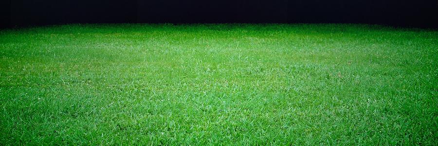 MsmsJags's profile banner image
