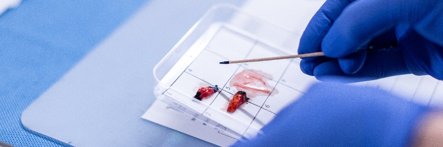 Yale Dermatology banner