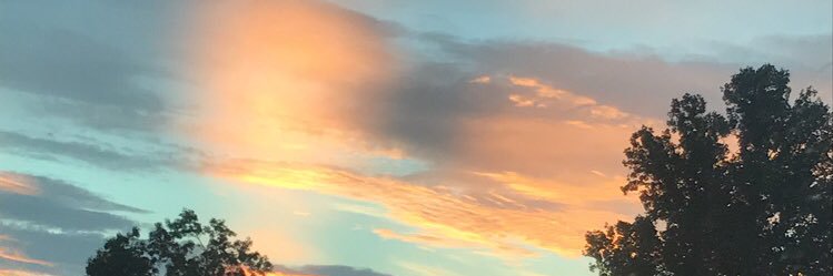 T_Od_09's profile banner image