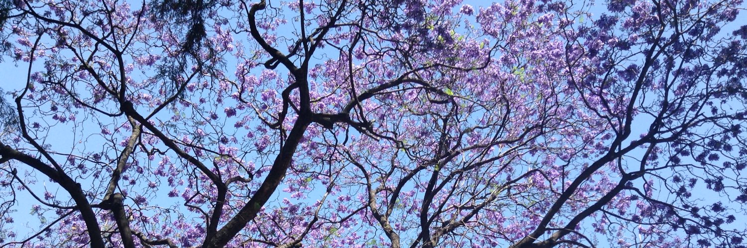 alexandra🌞 banner