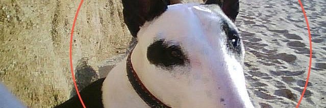 ZSchonfeld's profile banner image