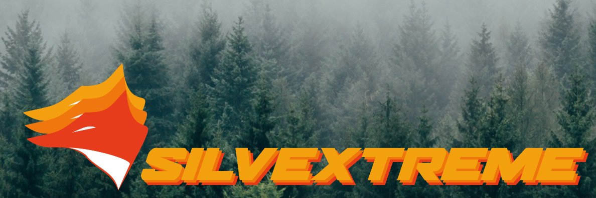 SmnSilv's profile banner image